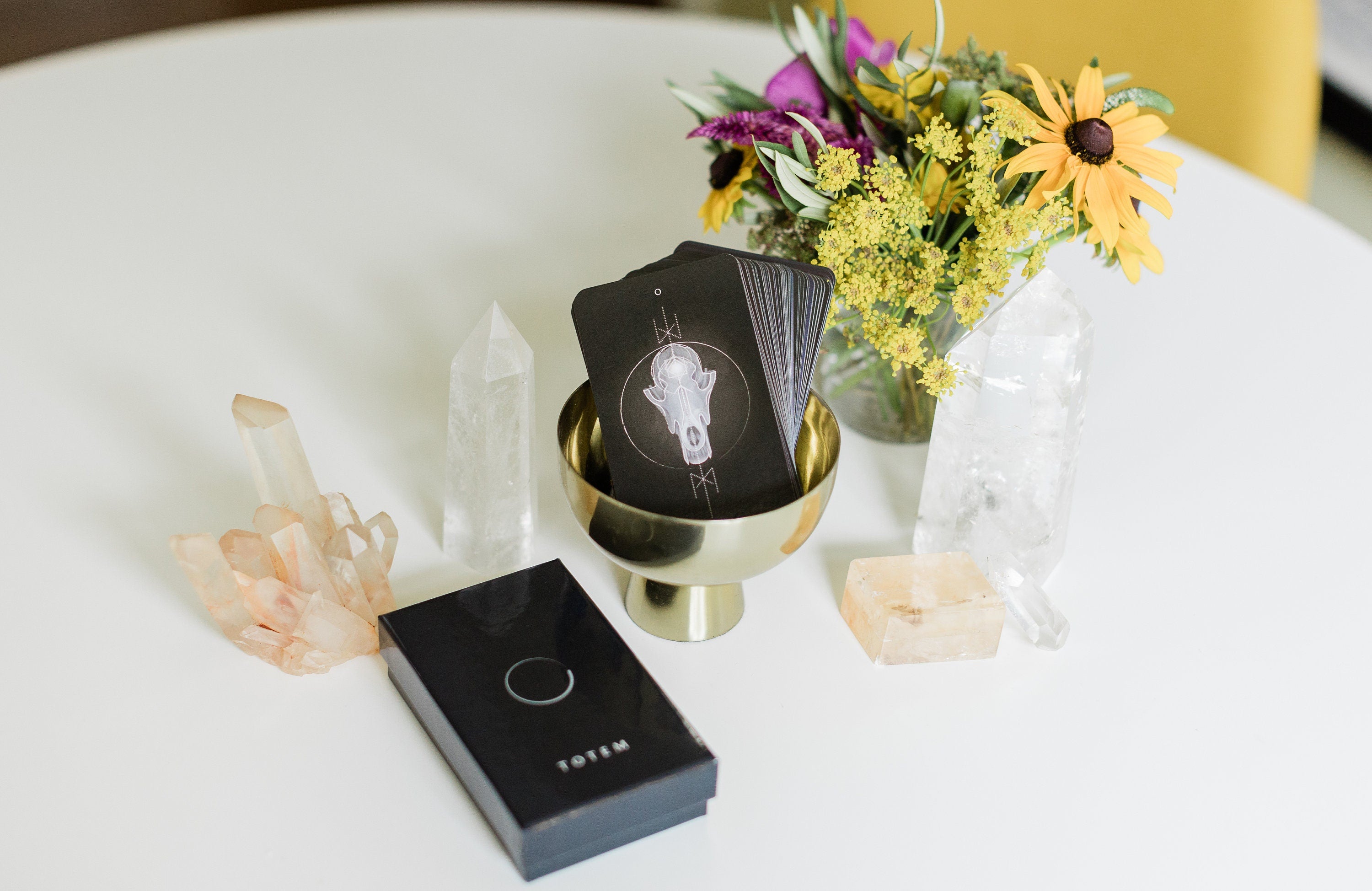 TOTEM Spiritual Transformation Program- FREE Consultation