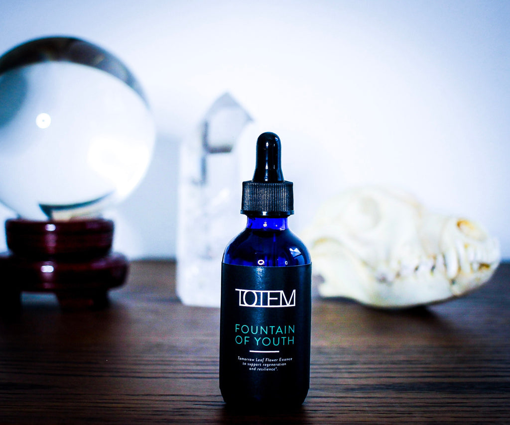 TOTEM Flower Essence: Fountain of Youth